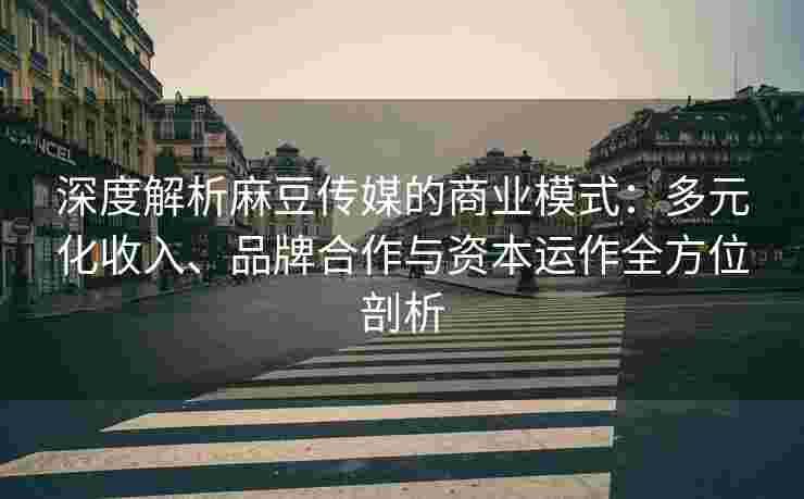 深度解析麻豆传媒的商业模式:多元化收入、品牌合作与资本运作全方位剖析 深度解析麻豆传媒的商业模式:多元化收入、品牌合作与资本运作全方位剖析