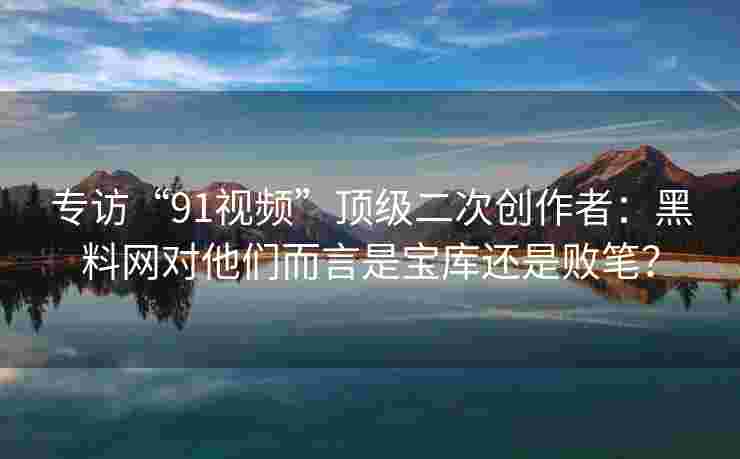 专访“91视频”顶级二次创作者：黑料网对他们而言是宝库还是败笔？