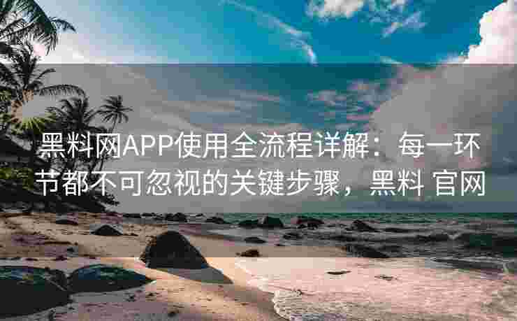 黑料网APP使用全流程详解：每一环节都不可忽视的关键步骤，黑料 官网